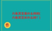 六色灵芝是什么样的(六色灵芝长什么样？)
