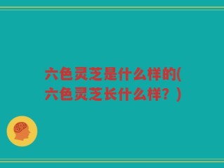 六色灵芝是什么样的(六色灵芝长什么样？)