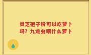 灵芝孢子粉可以吃萝卜吗？九龙虫喂什么萝卜
