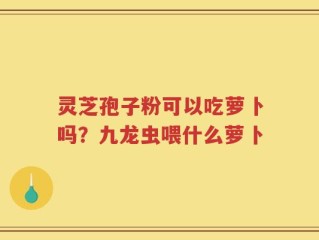 灵芝孢子粉可以吃萝卜吗？九龙虫喂什么萝卜