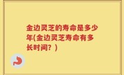 金边灵芝的寿命是多少年(金边灵芝寿命有多长时间？)