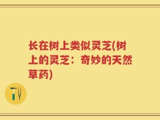 长在树上类似灵芝(树上的灵芝：奇妙的天然草药)