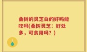 桑树的灵芝白的好吗能吃吗(桑树灵芝：好处多，可食用吗？)