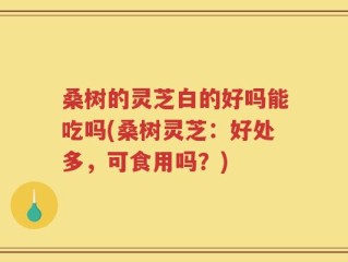 桑树的灵芝白的好吗能吃吗(桑树灵芝：好处多，可食用吗？)