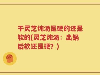 干灵芝炖汤是硬的还是软的(灵芝炖汤：出锅后软还是硬？)