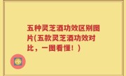 五种灵芝酒功效区别图片(五款灵芝酒功效对比，一图看懂！)