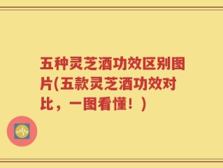 五种灵芝酒功效区别图片(五款灵芝酒功效对比，一图看懂！)