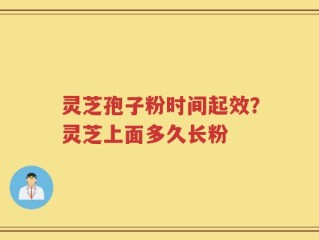 灵芝孢子粉时间起效？灵芝上面多久长粉