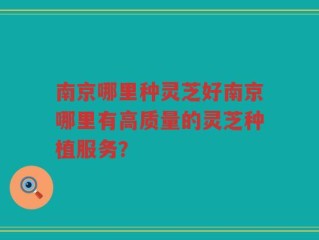 南京哪里种灵芝好南京哪里有高质量的灵芝种植服务？