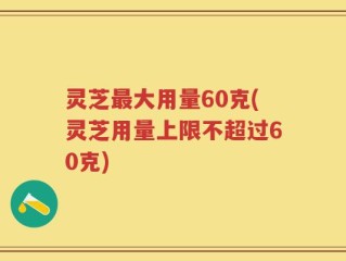 灵芝最大用量60克(灵芝用量上限不超过60克)