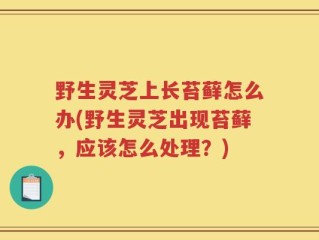 野生灵芝上长苔藓怎么办(野生灵芝出现苔藓，应该怎么处理？)