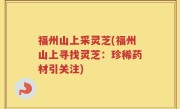 福州山上采灵芝(福州山上寻找灵芝：珍稀药材引关注)