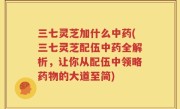 三七灵芝加什么中药(三七灵芝配伍中药全解析，让你从配伍中领略药物的大道至简)