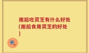 雨后吃灵芝有什么好处(雨后食用灵芝的好处)
