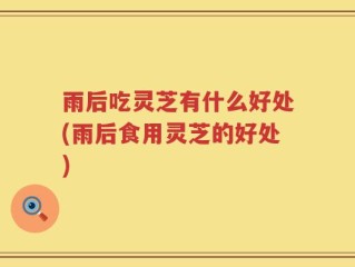 雨后吃灵芝有什么好处(雨后食用灵芝的好处)