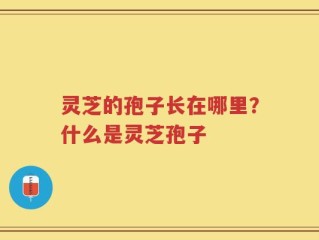 灵芝的孢子长在哪里？什么是灵芝孢子