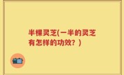 半棵灵芝(一半的灵芝有怎样的功效？)