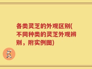 各类灵芝的外观区别(不同种类的灵芝外观辨别，附实例图)