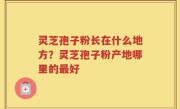 灵芝孢子粉长在什么地方？灵芝孢子粉产地哪里的最好