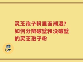 灵芝孢子粉里面潮湿？如何分辨破壁和没破壁的灵芝孢子粉
