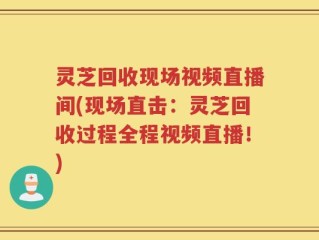灵芝回收现场视频直播间(现场直击：灵芝回收过程全程视频直播！)
