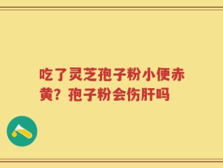 吃了灵芝孢子粉小便赤黄？孢子粉会伤肝吗