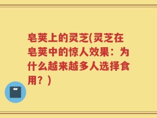 皂荚上的灵芝(灵芝在皂荚中的惊人效果：为什么越来越多人选择食用？)