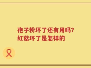 孢子粉坏了还有用吗？红菇坏了是怎样的