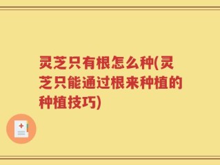 灵芝只有根怎么种(灵芝只能通过根来种植的种植技巧)