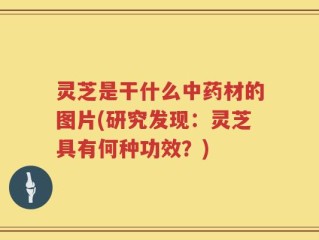 灵芝是干什么中药材的图片(研究发现：灵芝具有何种功效？)