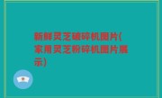 新鲜灵芝破碎机图片(家用灵芝粉碎机图片展示)