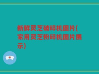 新鲜灵芝破碎机图片(家用灵芝粉碎机图片展示)