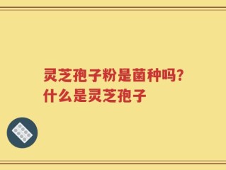 灵芝孢子粉是菌种吗？什么是灵芝孢子