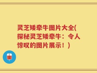 灵芝矮牵牛图片大全(探秘灵芝矮牵牛：令人惊叹的图片展示！)