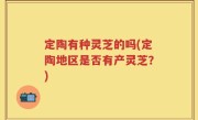 定陶有种灵芝的吗(定陶地区是否有产灵芝？)
