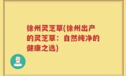 徐州灵芝草(徐州出产的灵芝草：自然纯净的健康之选)