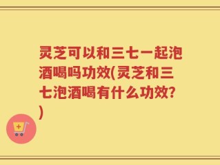 灵芝可以和三七一起泡酒喝吗功效(灵芝和三七泡酒喝有什么功效？)