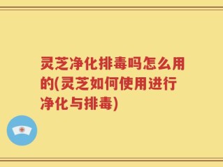灵芝净化排毒吗怎么用的(灵芝如何使用进行净化与排毒)