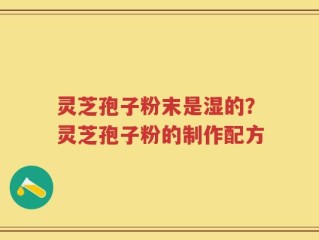 灵芝孢子粉末是湿的？灵芝孢子粉的制作配方
