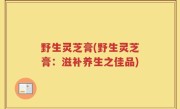 野生灵芝膏(野生灵芝膏：滋补养生之佳品)