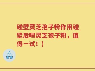 碰壁灵芝孢子粉作用碰壁后喝灵芝孢子粉，值得一试！)