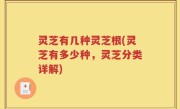 灵芝有几种灵芝根(灵芝有多少种，灵芝分类详解)