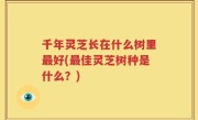 千年灵芝长在什么树里最好(最佳灵芝树种是什么？)