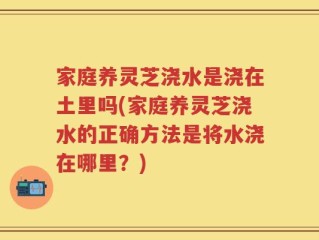 家庭养灵芝浇水是浇在土里吗(家庭养灵芝浇水的正确方法是将水浇在哪里？)