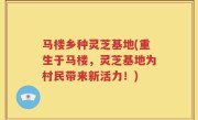 马楼乡种灵芝基地(重生于马楼，灵芝基地为村民带来新活力！)