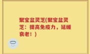 聚宝盆灵芝(聚宝盆灵芝：提高免疫力，延缓衰老！)