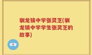 驯龙镇中学张灵芝(驯龙镇中学学生张灵芝的故事)