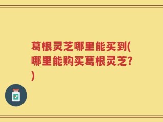 葛根灵芝哪里能买到(哪里能购买葛根灵芝？)
