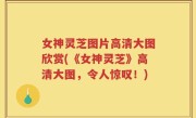 女神灵芝图片高清大图欣赏(《女神灵芝》高清大图，令人惊叹！)