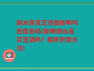 倒水莲灵芝泡酒能喝吗百度百科(能喝倒水莲灵芝酒吗？解析饮用方法)